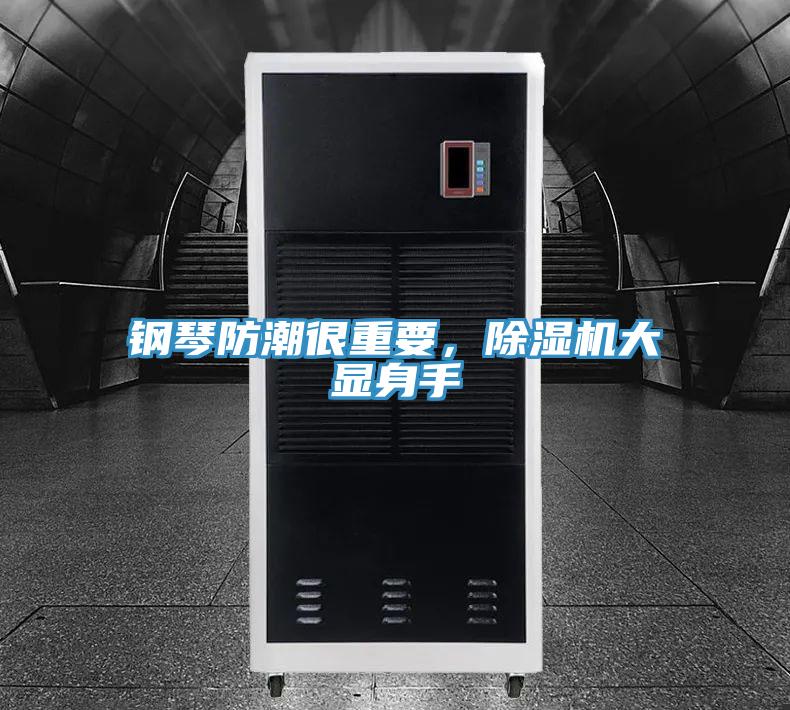 鋼琴防潮很重要，除濕機大顯身手