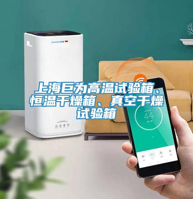 上海巨為高溫試驗箱、恒溫干燥箱、真空干燥試驗箱