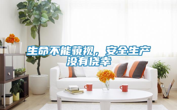 生命不能藐視，安全生產(chǎn)沒有僥幸