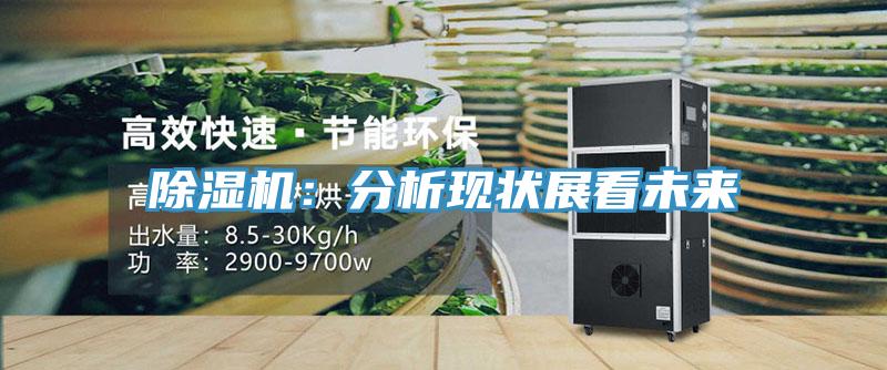 除濕機(jī)：分析現(xiàn)狀展看未來(lái)