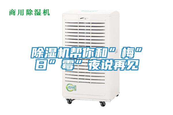 除濕機(jī)幫你和”梅”日”霉”夜說(shuō)再見