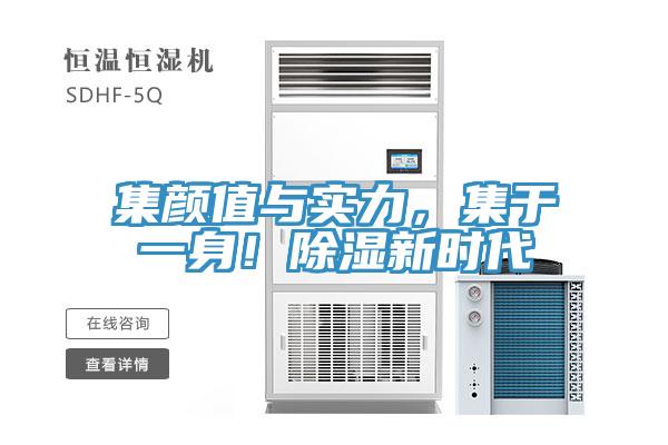 集顏值與實(shí)力，集于一身！除濕新時(shí)代