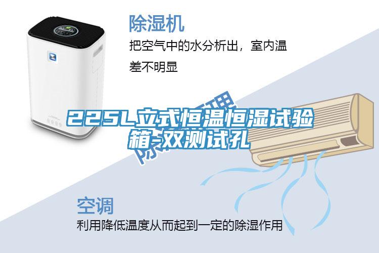 225L立式恒溫恒濕試驗(yàn)箱-雙測試孔