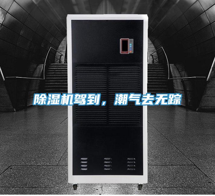 除濕機(jī)駕到，潮氣去無(wú)蹤