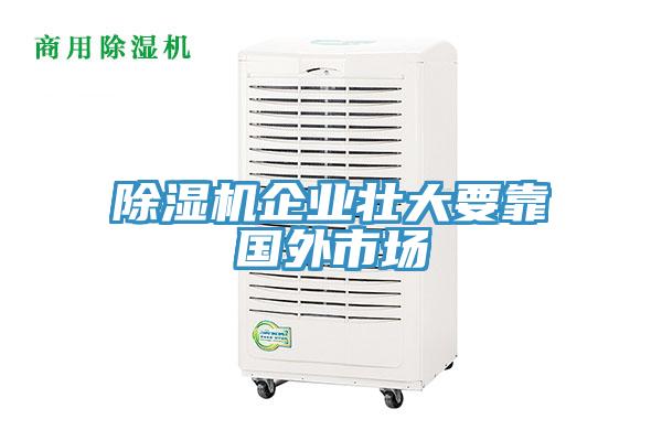 除濕機(jī)企業(yè)壯大要靠國外市場