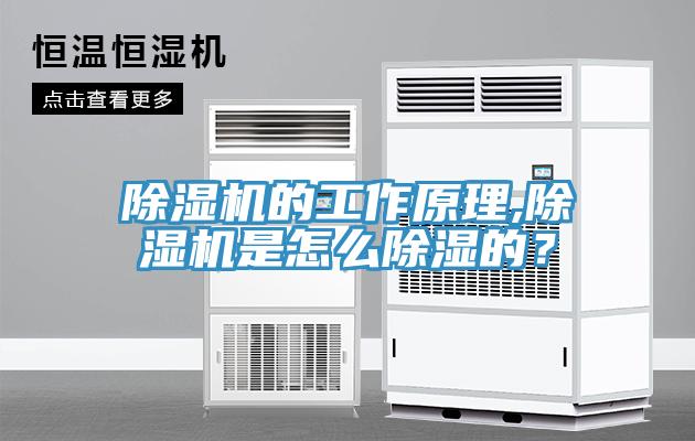 除濕機(jī)的工作原理,除濕機(jī)是怎么除濕的？