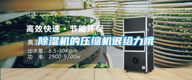 除濕機(jī)的壓縮機(jī)很給力哦