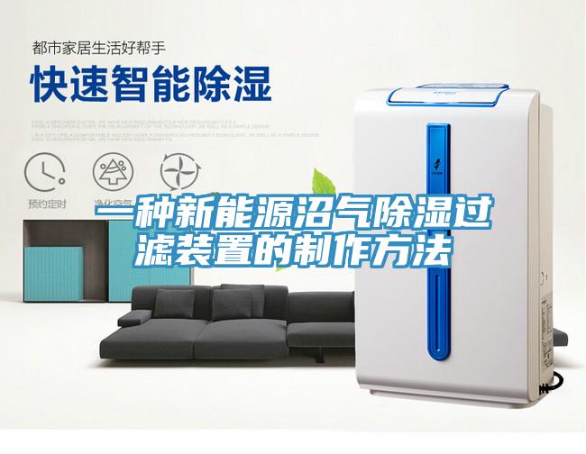 一種新能源沼氣除濕過濾裝置的制作方法