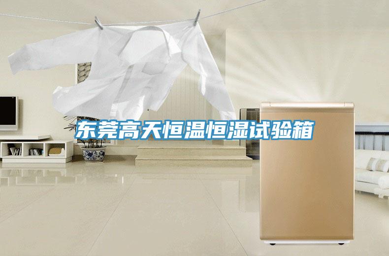 東莞高天恒溫恒濕試驗箱