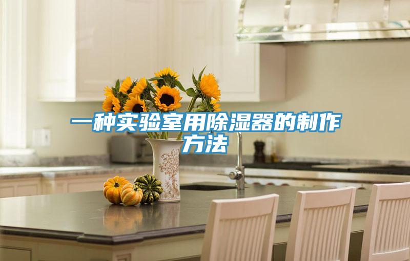 一種實驗室用除濕器的制作方法