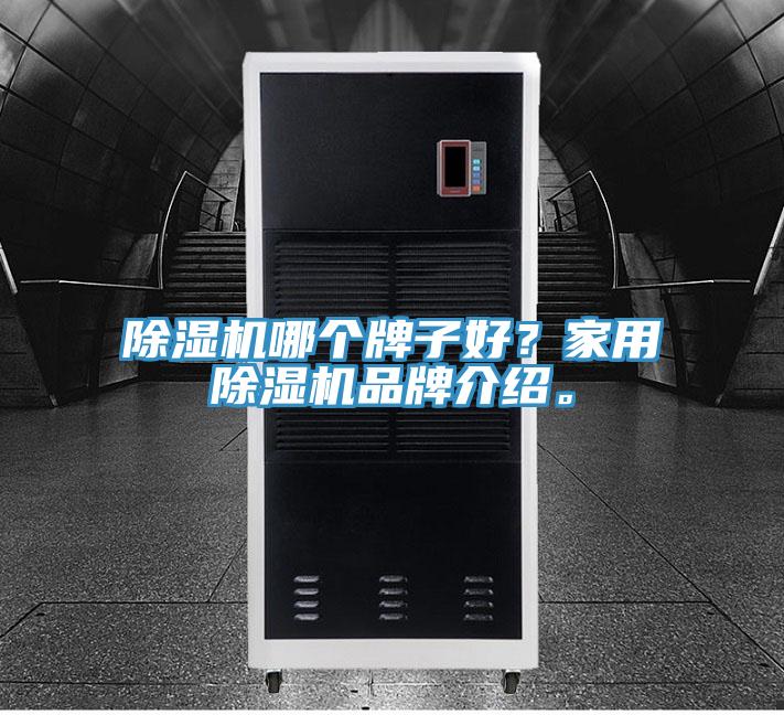 除濕機哪個牌子好？家用除濕機品牌介紹。