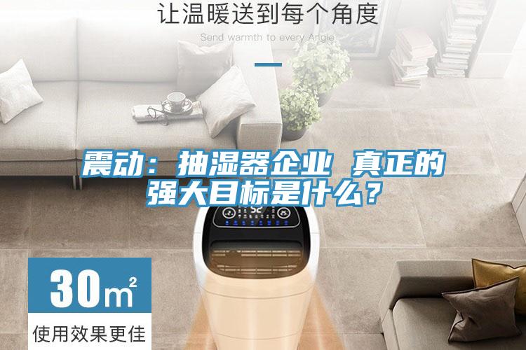 震動(dòng)：抽濕器企業(yè) 真正的強(qiáng)大目標(biāo)是什么？
