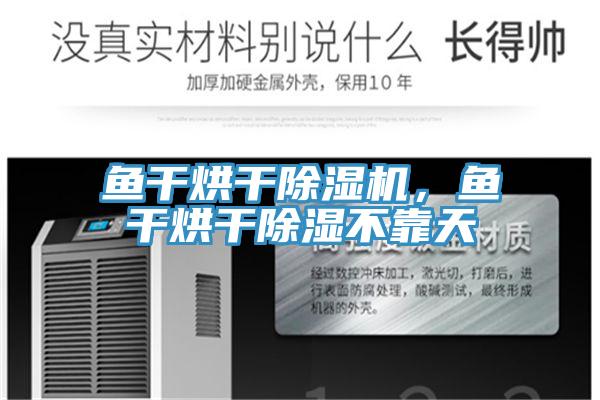 魚(yú)干烘干除濕機(jī)，魚(yú)干烘干除濕不靠天