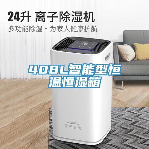 408L智能型恒溫恒濕箱