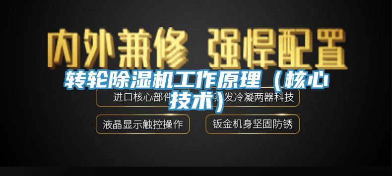 轉(zhuǎn)輪除濕機工作原理（核心技術(shù)）