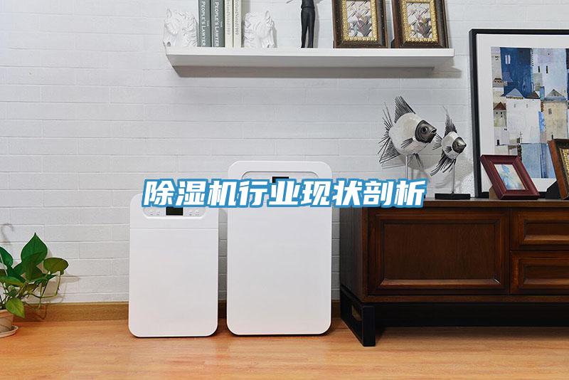 除濕機(jī)行業(yè)現(xiàn)狀剖析