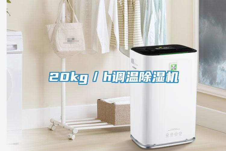 20kg／h調(diào)溫除濕機(jī)