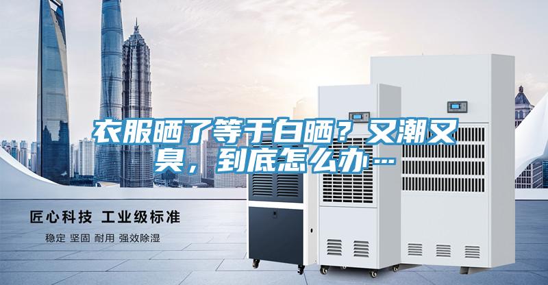 衣服曬了等于白曬？又潮又臭，到底怎么辦…