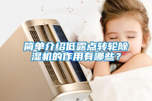 簡單介紹低露點(diǎn)轉(zhuǎn)輪除濕機(jī)的作用有哪些？