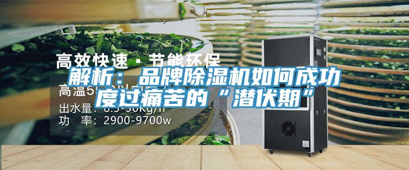 解析：品牌除濕機(jī)如何成功度過痛苦的“潛伏期”