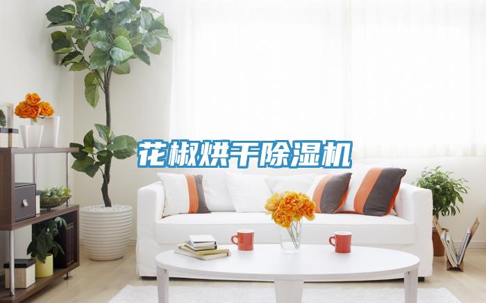 花椒烘干除濕機(jī)