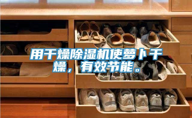 用干燥除濕機(jī)使蘿卜干燥，有效節(jié)能。