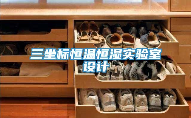 三坐標(biāo)恒溫恒濕實(shí)驗(yàn)室設(shè)計(jì)