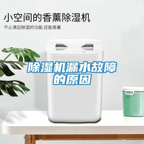 除濕機(jī)漏水故障的原因