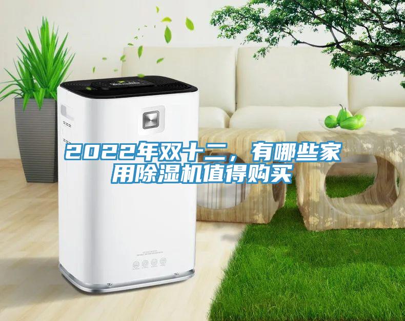 2022年雙十二，有哪些家用除濕機(jī)值得購買