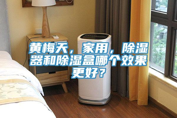黃梅天，家用，除濕器和除濕盒哪個效果更好？