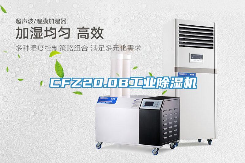 CFZ20.0B工業(yè)除濕機(jī)