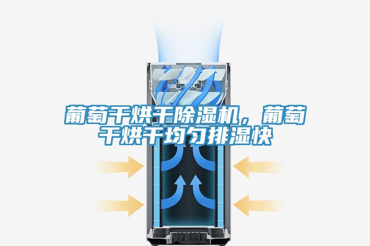 葡萄干烘干除濕機(jī)，葡萄干烘干均勻排濕快