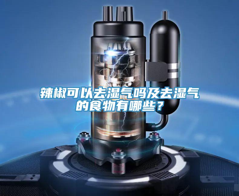 辣椒可以去濕氣嗎及去濕氣的食物有哪些？