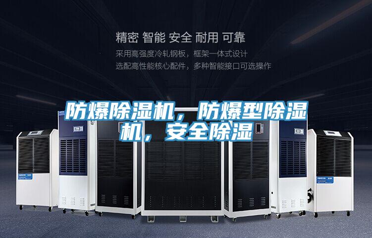 防爆除濕機(jī)，防爆型除濕機(jī)，安全除濕
