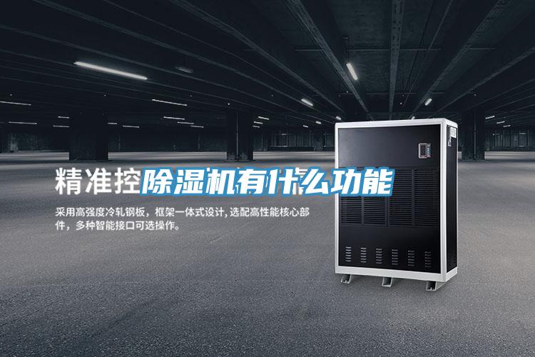 除濕機(jī)有什么功能