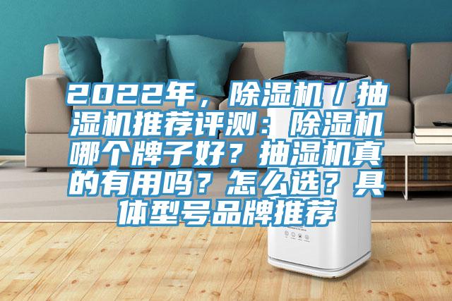 2022年，除濕機(jī)／抽濕機(jī)推薦評測：除濕機(jī)哪個牌子好？抽濕機(jī)真的有用嗎？怎么選？具體型號品牌推薦
