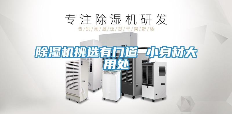 除濕機挑選有門道 小身材大用處