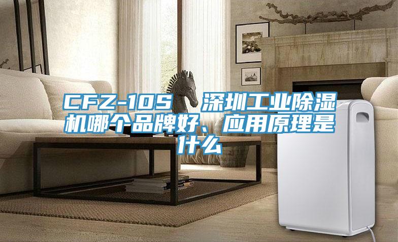 CFZ-10S  深圳工業(yè)除濕機(jī)哪個(gè)品牌好、應(yīng)用原理是什么