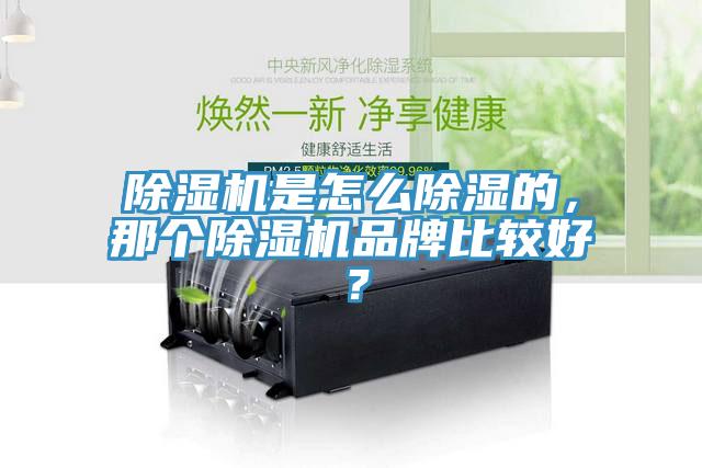 除濕機(jī)是怎么除濕的，那個除濕機(jī)品牌比較好？