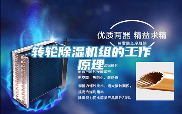 轉(zhuǎn)輪除濕機(jī)組的工作原理