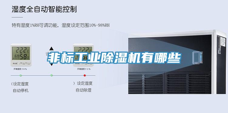 非標(biāo)工業(yè)除濕機(jī)有哪些