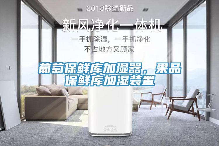 葡萄保鮮庫(kù)加濕器，果品保鮮庫(kù)加濕裝置