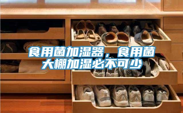 食用菌加濕器，食用菌大棚加濕必不可少