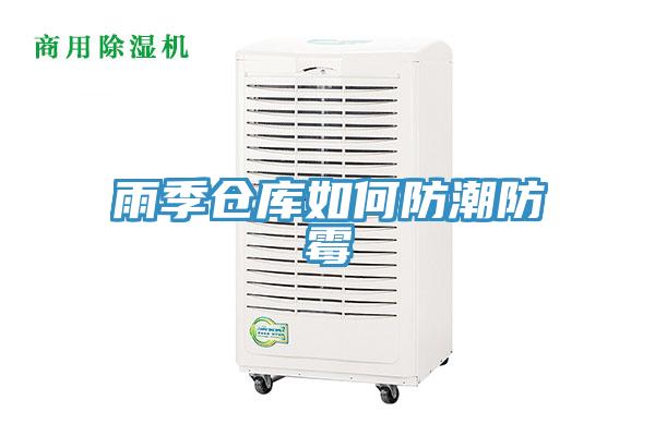 雨季倉庫如何防潮防霉