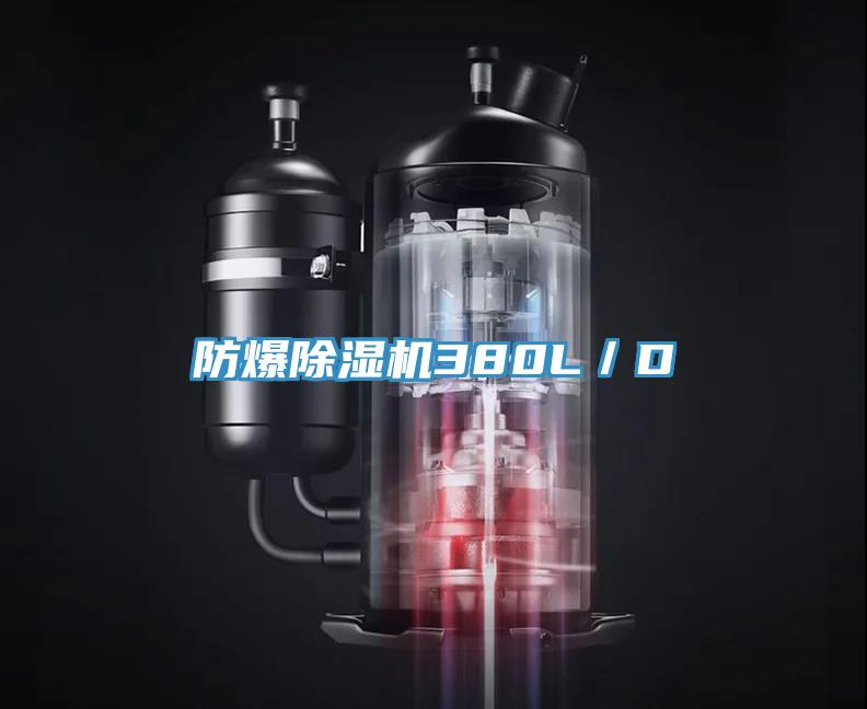 防爆除濕機(jī)380L／D