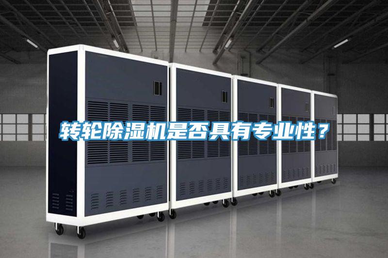 轉(zhuǎn)輪除濕機是否具有專業(yè)性？