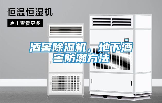 酒窖除濕機(jī)，地下酒窖防潮方法