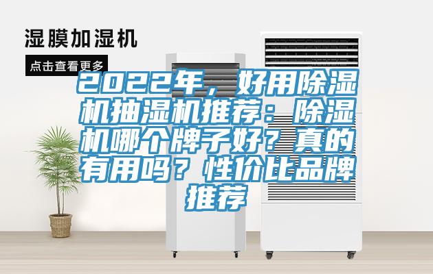 2022年，好用除濕機(jī)抽濕機(jī)推薦：除濕機(jī)哪個牌子好？真的有用嗎？性價比品牌推薦