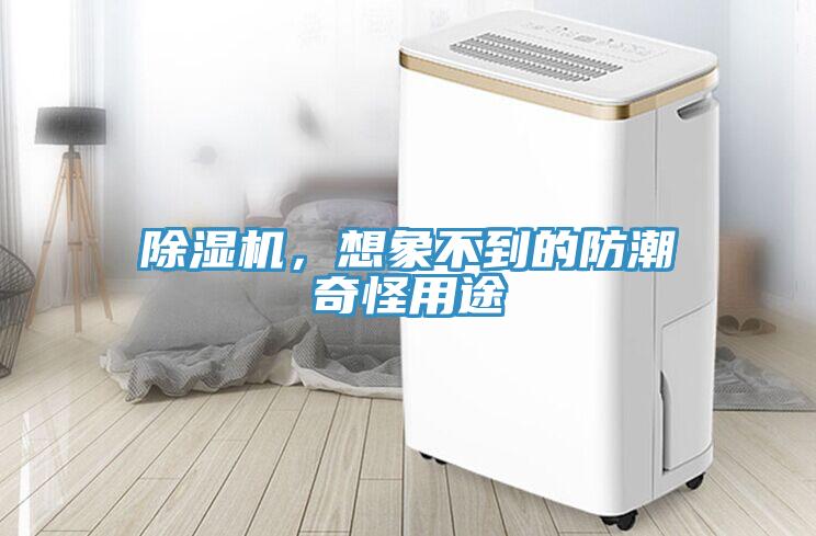除濕機(jī)，想象不到的防潮奇怪用途