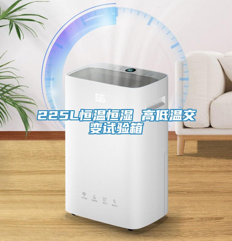 225L恒溫恒濕 高低溫交變試驗(yàn)箱